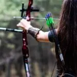Choosing Your Hunting Path: Bow Hunting vs. Rifle Hunting Choosing Your Hunting Path: Bow Hunting vs. Rifle Hunting